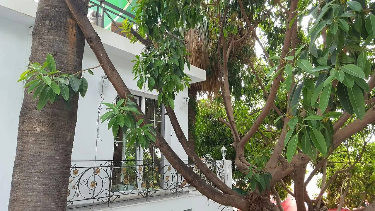 Hotel Magllara Sarandë 阿尔巴尼亚